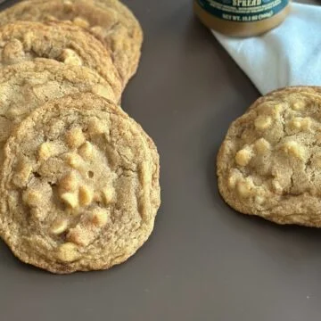 snickerdoodle chocolate chip